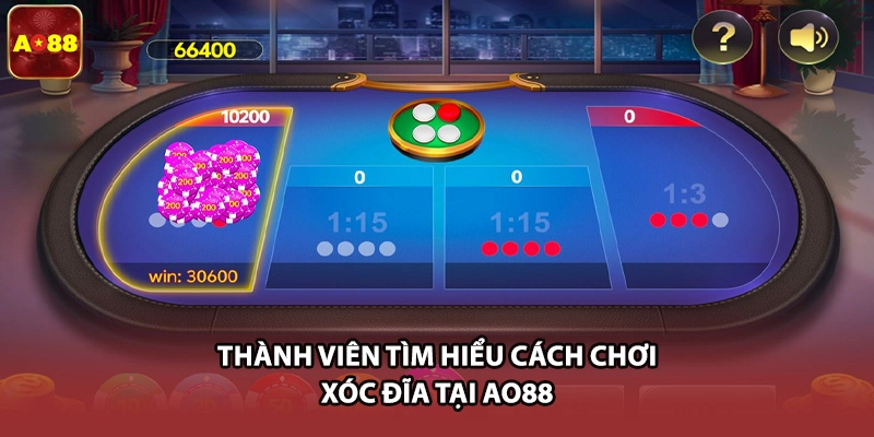 Thành viên tìm hiểu cách chơi Xóc Đĩa tại AO88