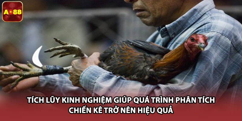 Tích lũy kinh nghiệm giúp quá trình phân tích chiến kê trở nên hiệu quả