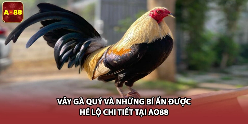 Vảy Gà Quý Và Những Bí Ẩn Được Hé Lộ Chi Tiết Tại AO88